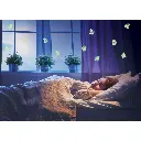 71CfiZ095mL._SL1500_.webp