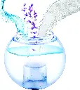 71-WIRKt6KL._AC_SL1500_.webp