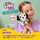 81o44yxB5KL._AC_SL1500_.webp