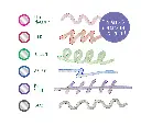 58-6701-0-200_signature_metallic-outline-markers_6ct_02_ss.webp