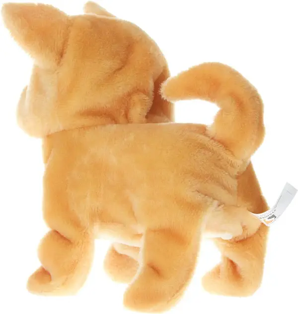 CHILIWALKINGDOG5.webp