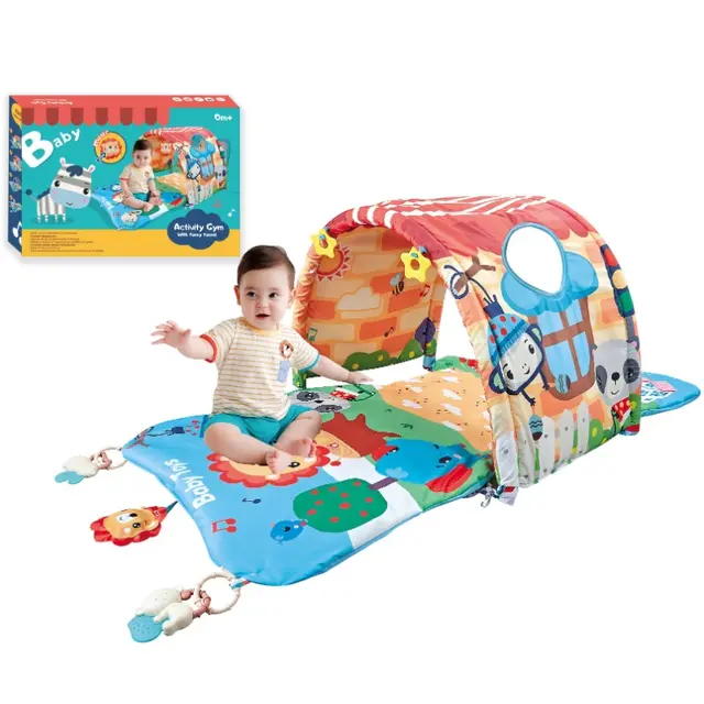 Activity Gym With Funny Tunnel 