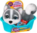 Little Live Pets My Really Real Puppy Mini - Aurora the Husky