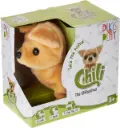 Pugs at Play - Chili the Chihuahua Walking Dog 
